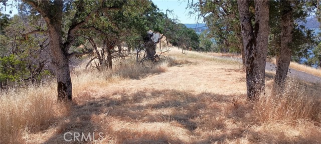 10312 Crestview, Clearlake