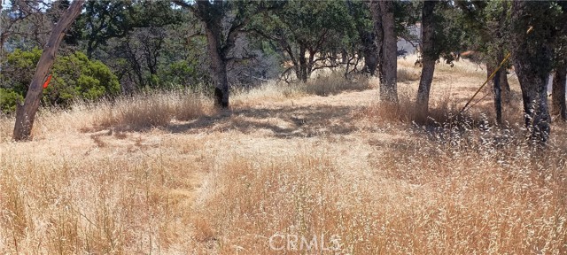 10312 Crestview, Clearlake