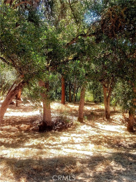 5947 Armijo Avenue, Clearlake