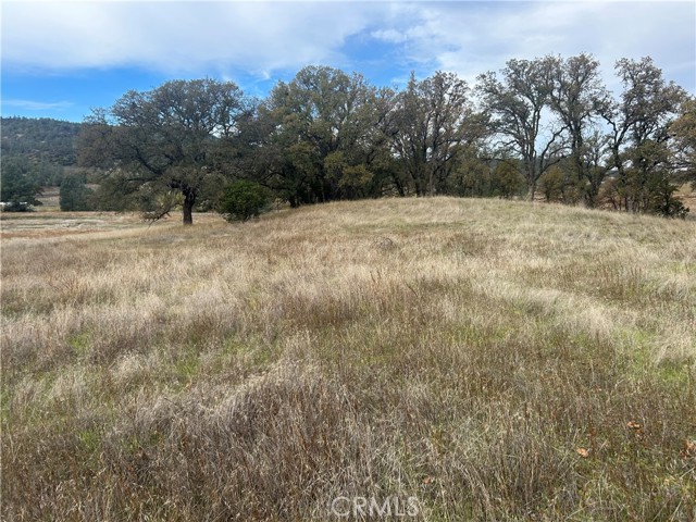 22753 Jerusalem Grade, Lower Lake