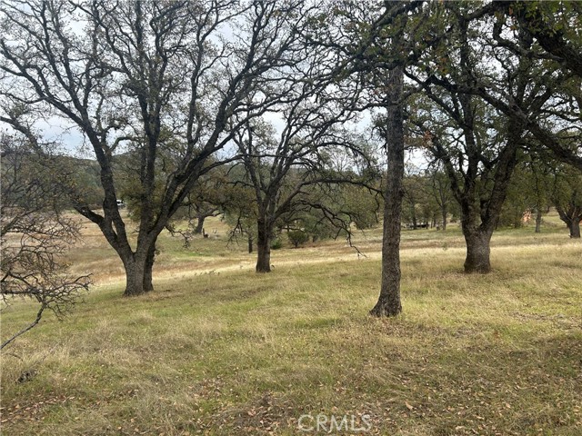 22753 Jerusalem Grade, Lower Lake