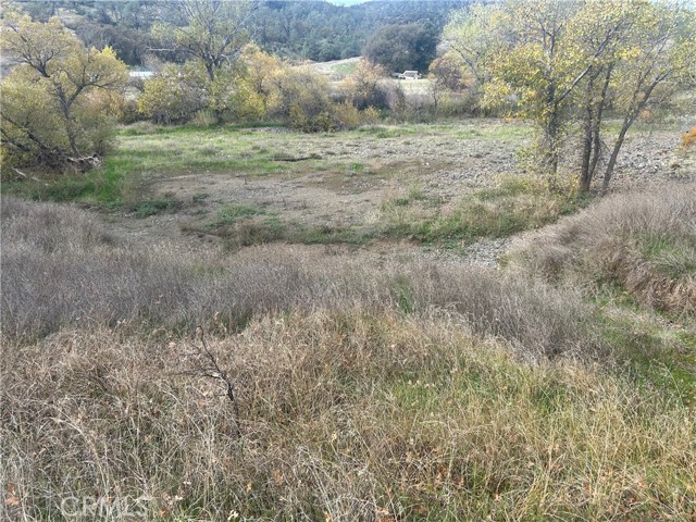 22753 Jerusalem Grade, Lower Lake