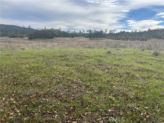 22753 Jerusalem Grade, Lower Lake