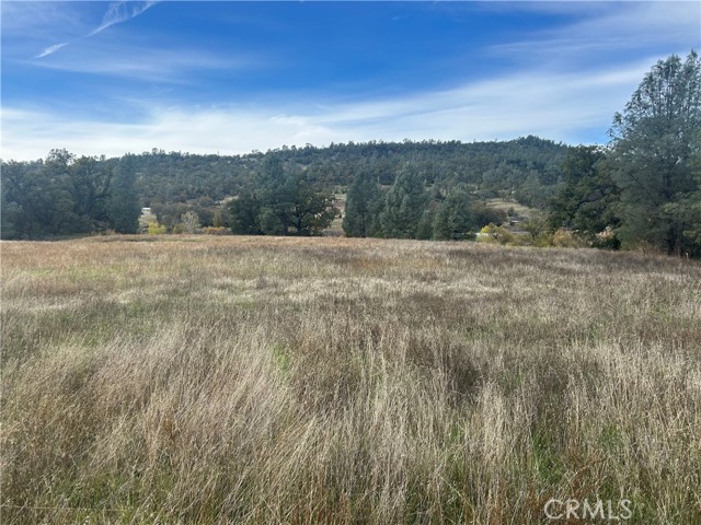 22753 Jerusalem Grade, Lower Lake