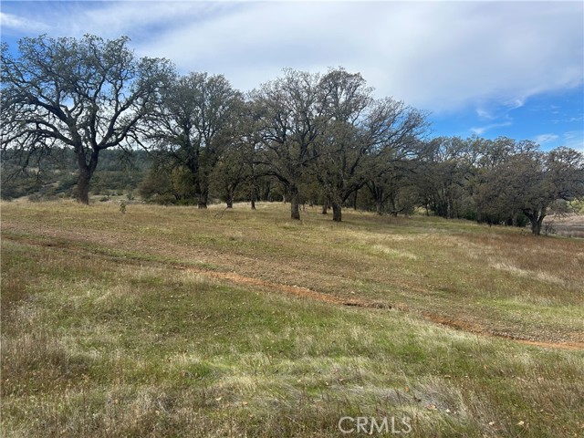 22753 Jerusalem Grade, Lower Lake