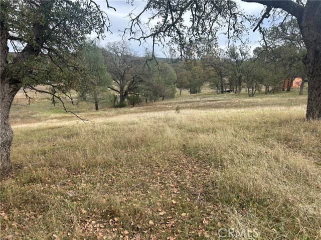 22753 Jerusalem Grade, Lower Lake