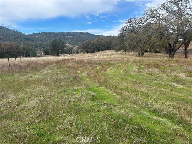 22753 Jerusalem Grade, Lower Lake