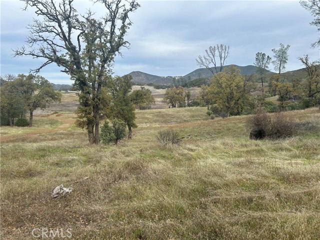 22753 Jerusalem Grade, Lower Lake