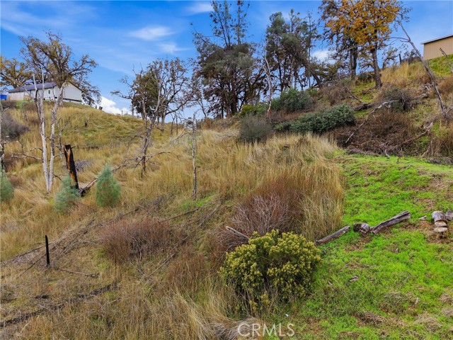 16550 Rose Street, Lower Lake