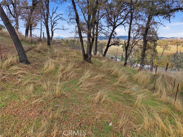 16550 Rose Street, Lower Lake