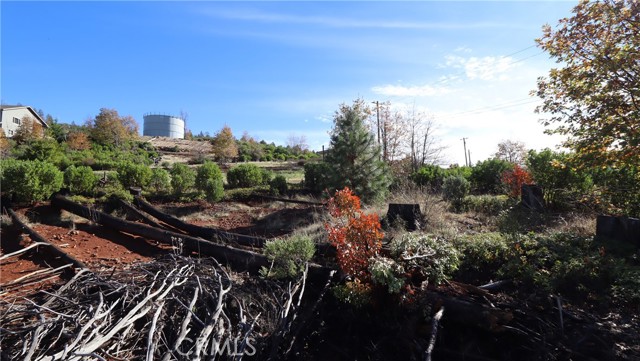 15530 Sugar Pine Drive, Cobb