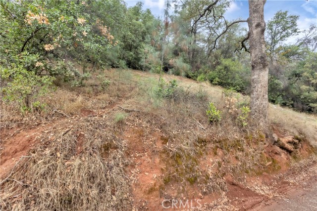 12636 Lakeview, Clearlake Oaks