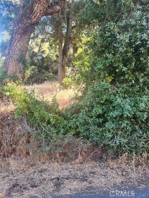 4010 Foothill, Lucerne