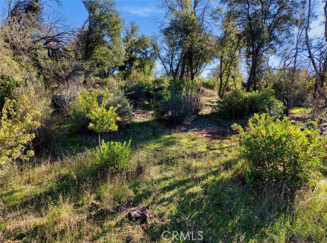 3522 Filmore Avenue, Clearlake