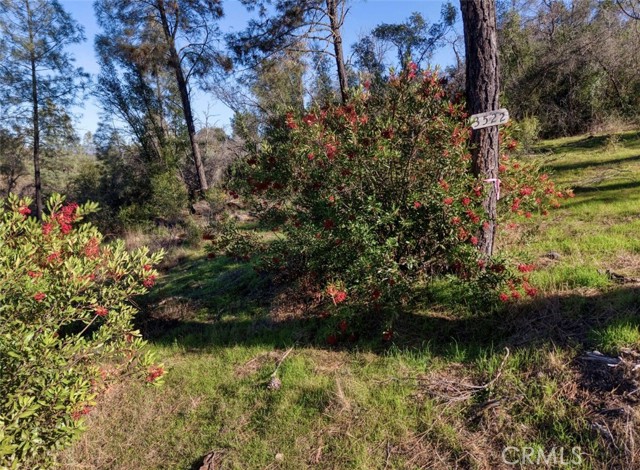 3522 Filmore Avenue, Clearlake