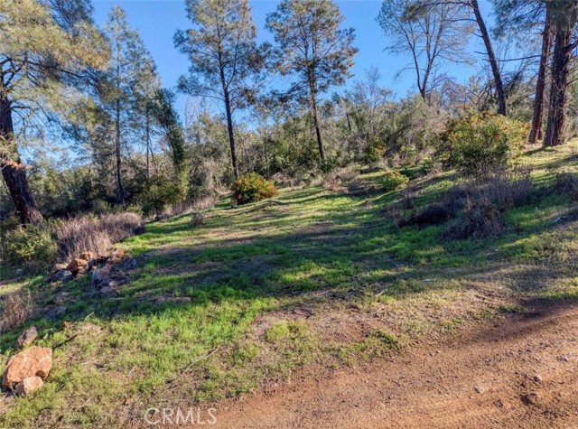 3522 Filmore Avenue, Clearlake