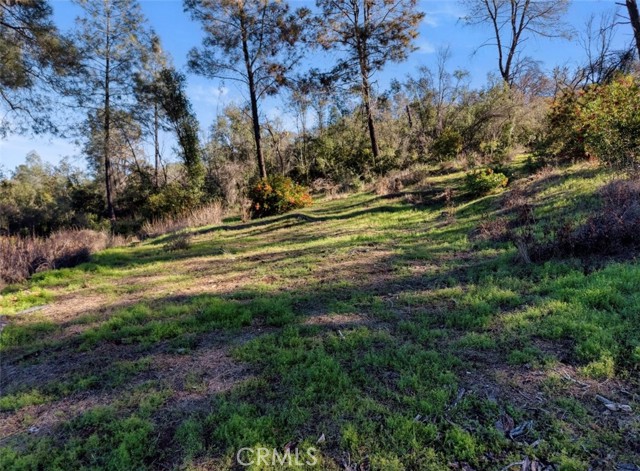 3522 Filmore Avenue, Clearlake