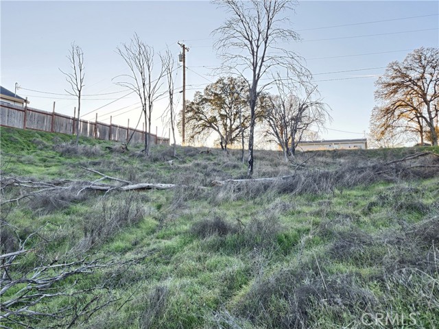 17150 Deer Park, Lower Lake