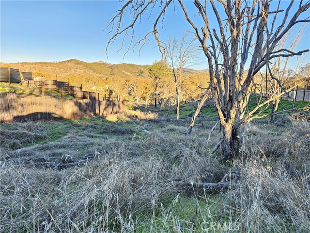 17150 Deer Park, Lower Lake