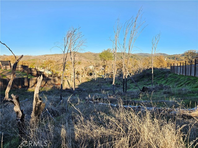 17150 Deer Park, Lower Lake