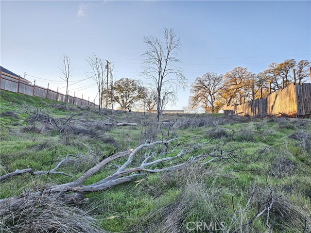 17150 Deer Park, Lower Lake