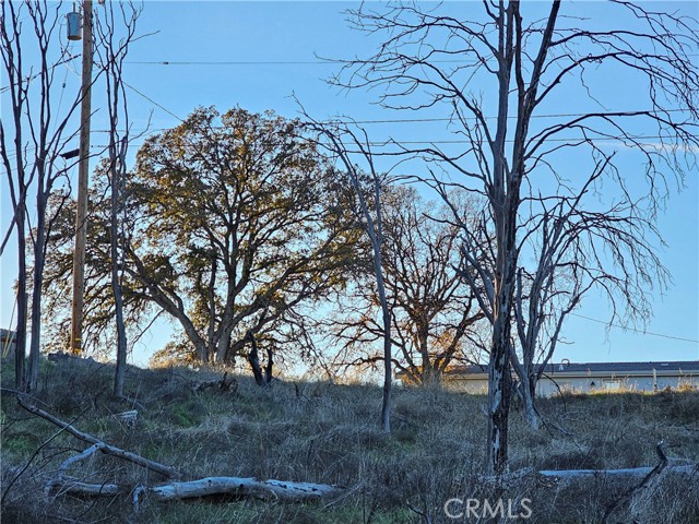 17150 Deer Park, Lower Lake