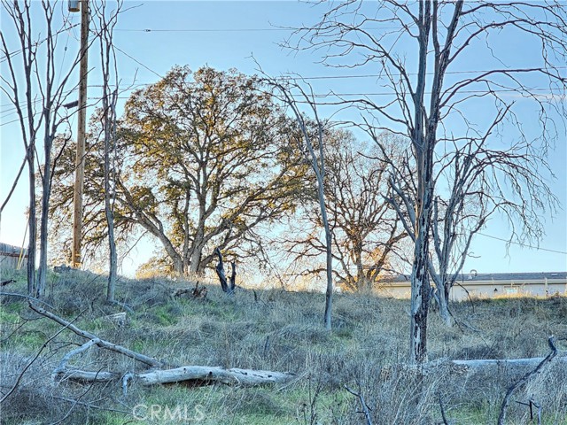 17150 Deer Park, Lower Lake