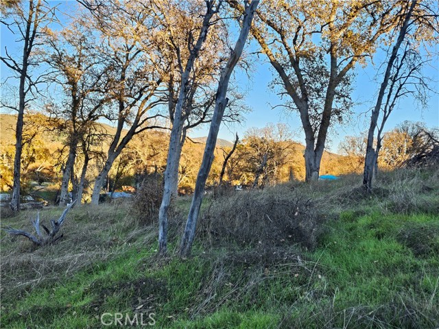 17150 Deer Park, Lower Lake