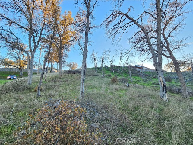 17150 Deer Park, Lower Lake