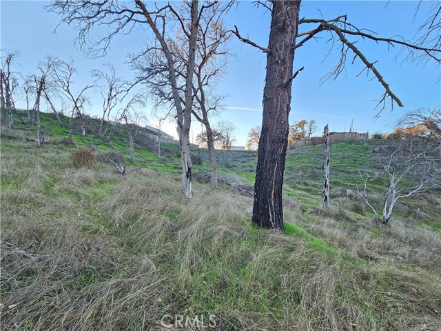 17150 Deer Park, Lower Lake