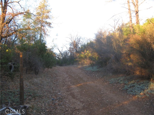 9000 S State Highway 29, Lower Lake