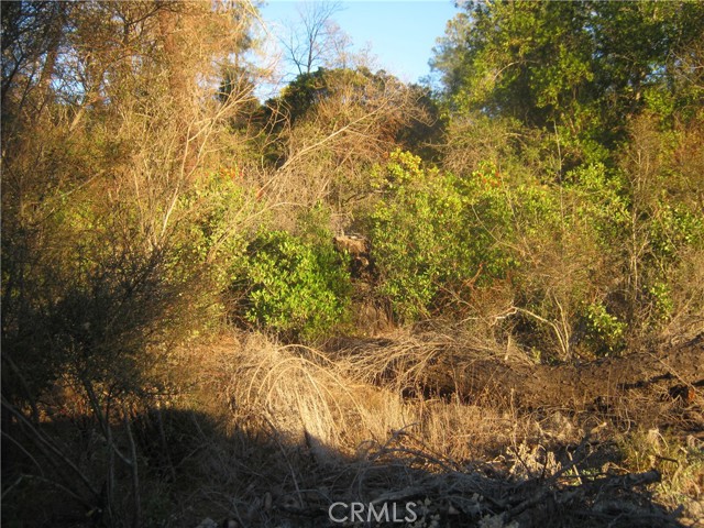 9000 S State Highway 29, Lower Lake