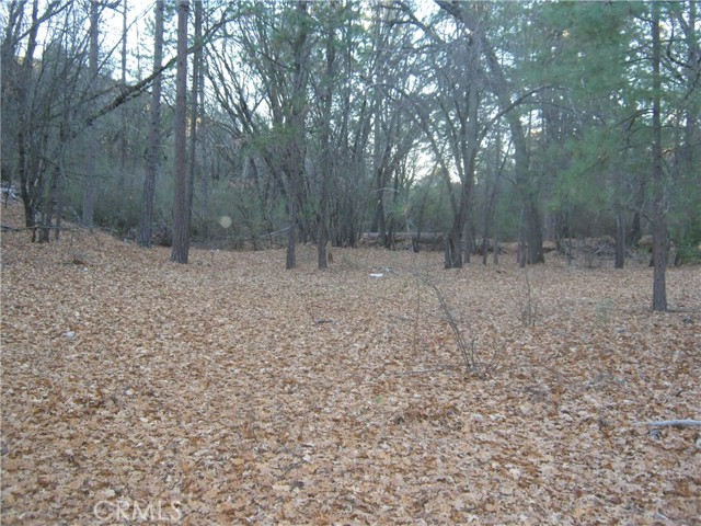 9000 S State Highway 29, Lower Lake