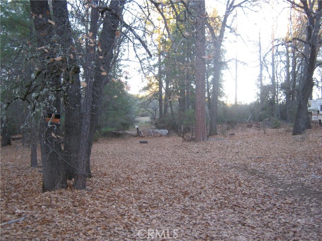 9000 S State Highway 29, Lower Lake