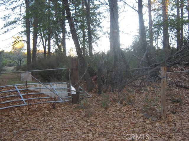 9000 S State Highway 29, Lower Lake