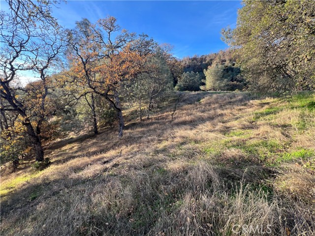 11872 Konocti, Clearlake Oaks