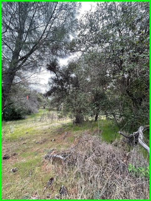 13672 Fair Oak Road, Clearlake