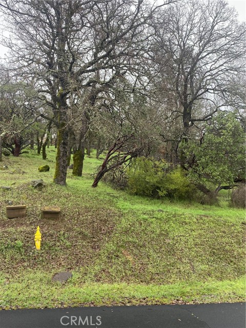 19210 N Shore Court, Hidden Valley Lake