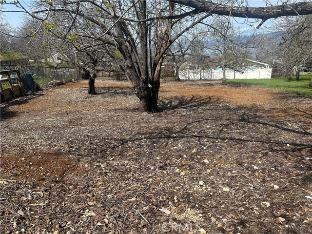 3165 Marina View Drive, Kelseyville