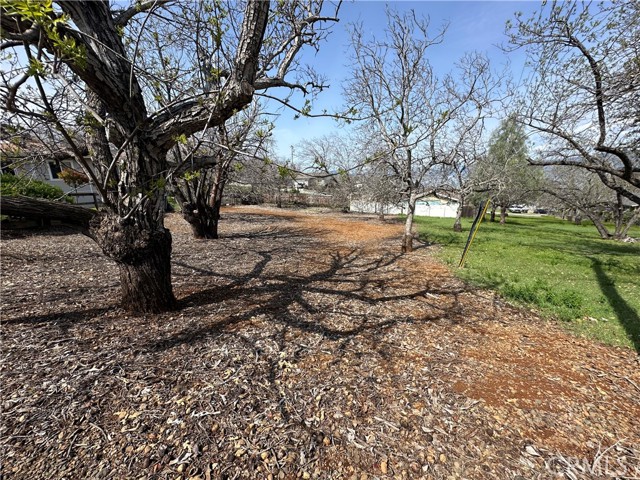 3165 Marina View Drive, Kelseyville