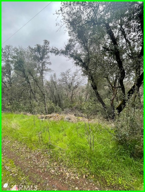 15572 Sharpe Drive, Clearlake