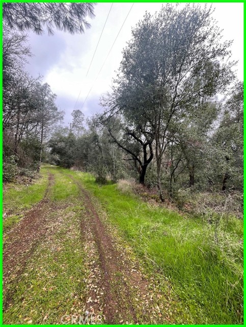 15572 Sharpe Drive, Clearlake