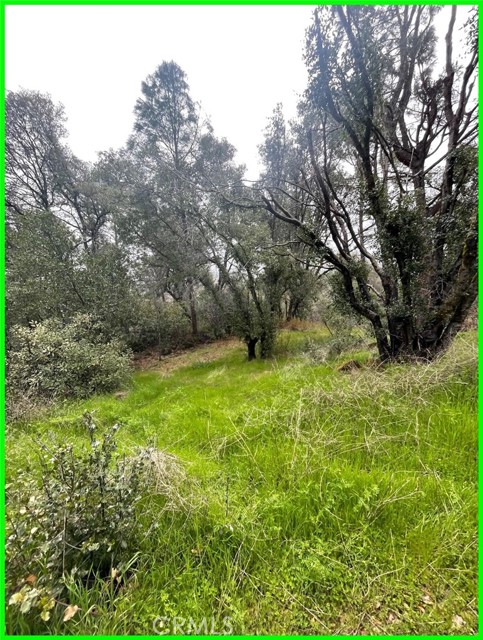 15572 Sharpe Drive, Clearlake