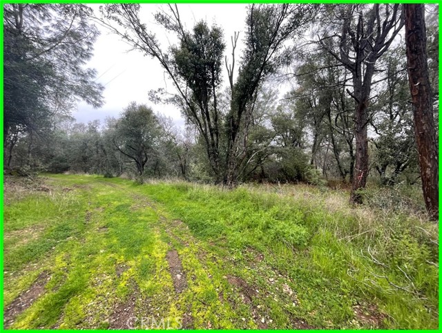 15572 Sharpe Drive, Clearlake