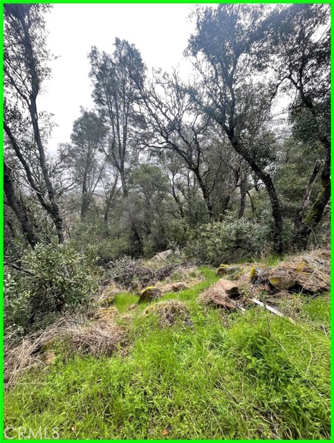 15572 Sharpe Drive, Clearlake