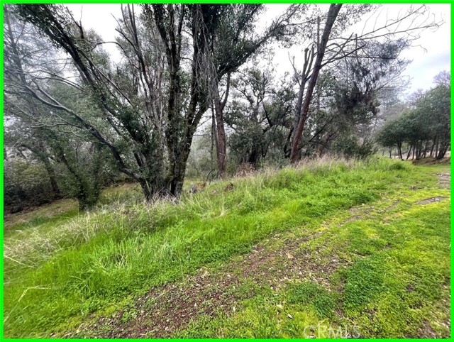 15572 Sharpe Drive, Clearlake