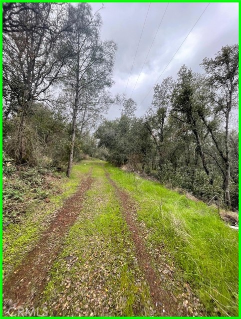 15572 Sharpe Drive, Clearlake