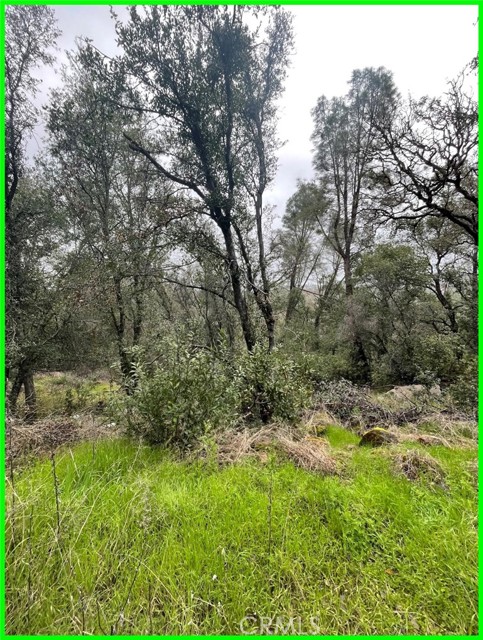 15572 Sharpe Drive, Clearlake