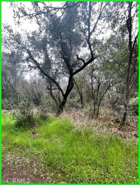 15572 Sharpe Drive, Clearlake