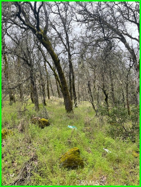 15652 Highland Avenue, Clearlake